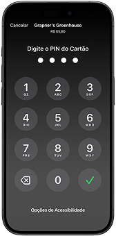 Tela de pagamento pedindo o PIN do cartão.